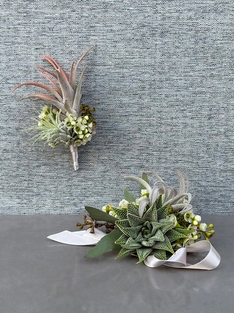 Succulent & Air Plant Corsage & Boutonniere Set