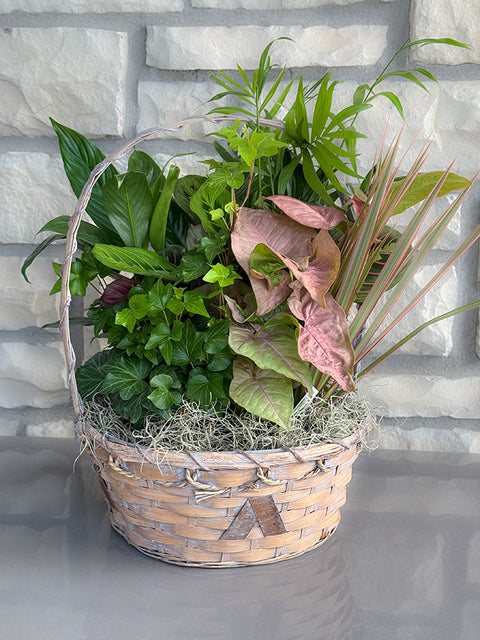 Emerald Garden Basket