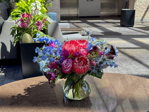 Summer's Midnight Dream