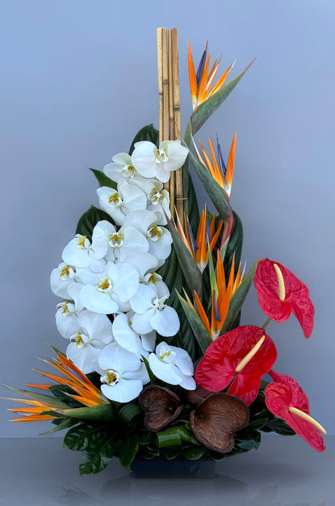 #137 Tropical Elegance Arrangement