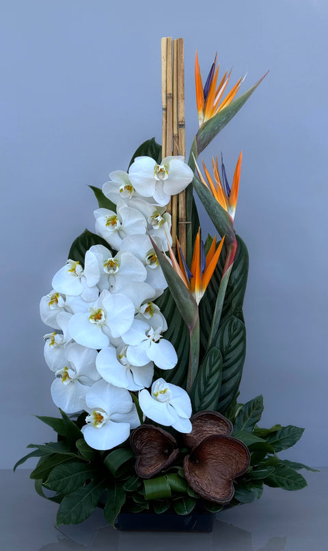 #137 Tropical Elegance Arrangement