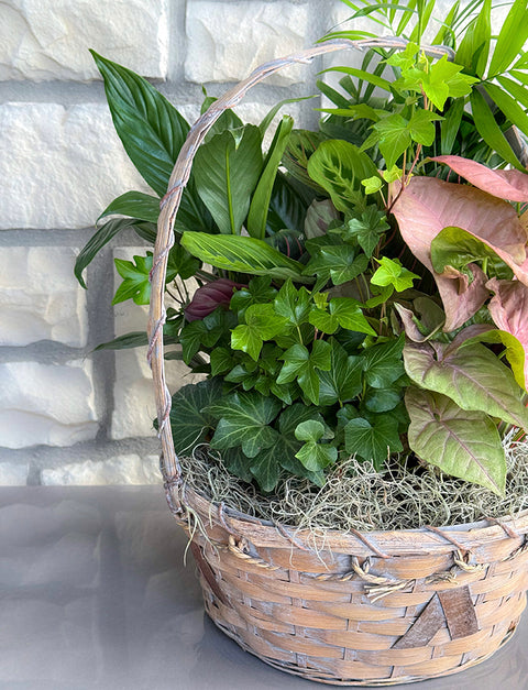 Emerald Garden Basket