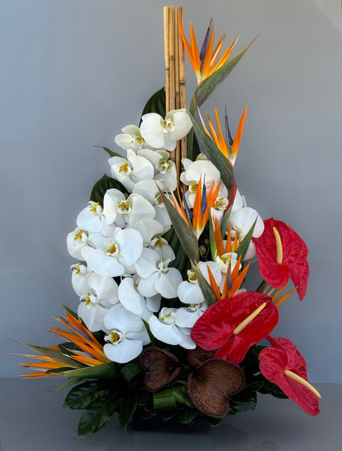 #137 Tropical Elegance Arrangement