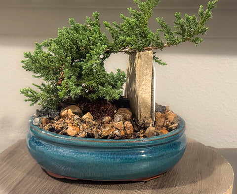 6" Bonsai Garden Pot – Unique, Versatile, and Handcrafted
