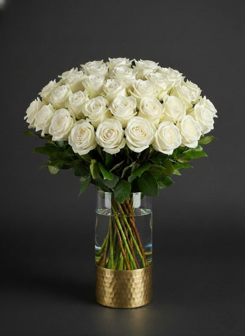Triple Dozen Luxury: The Classic White Rose Grandeur