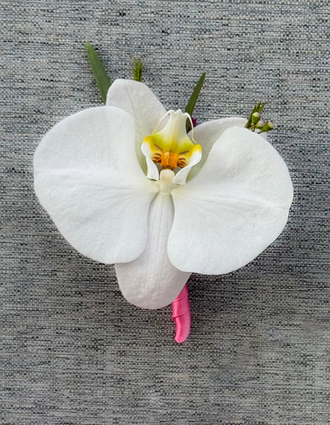 Classic White Orchid & Pink Ribbon Options