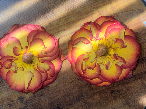 1 Real Pressed Rose: Natural Dried Botanicals for Resin Art, Crafts