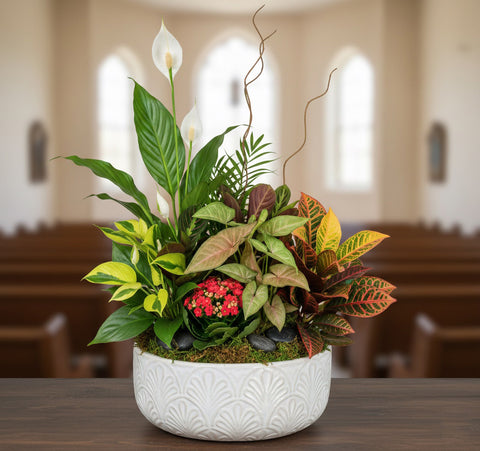 #151 Emerald Garden Plant Collection | Ceramic Dish Garden