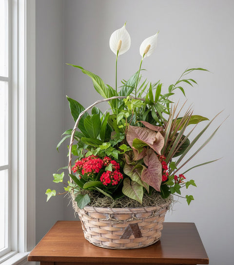Emerald Garden Plant Basket