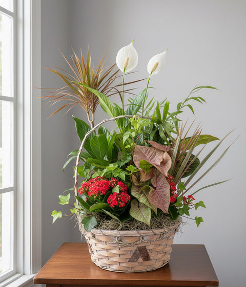Emerald Garden Plant Basket