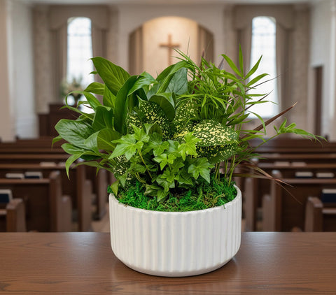 Lush Plants & Elegant Orchids