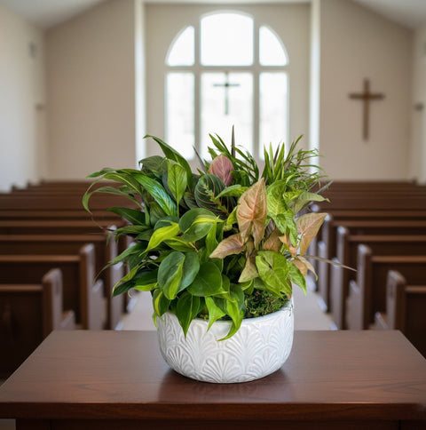 #151 Emerald Garden Plant Collection | Ceramic Dish Garden