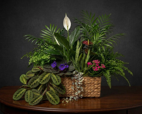 The Grand Conservatory Basket