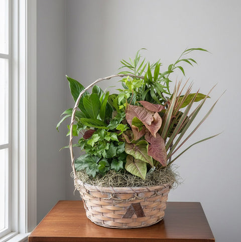 Emerald Garden Plant Basket