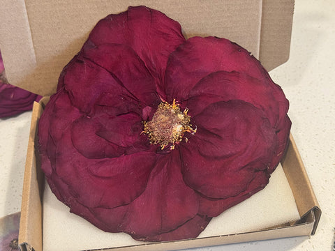 1 Real Pressed Rose: Natural Dried Botanicals for Resin Art, Crafts