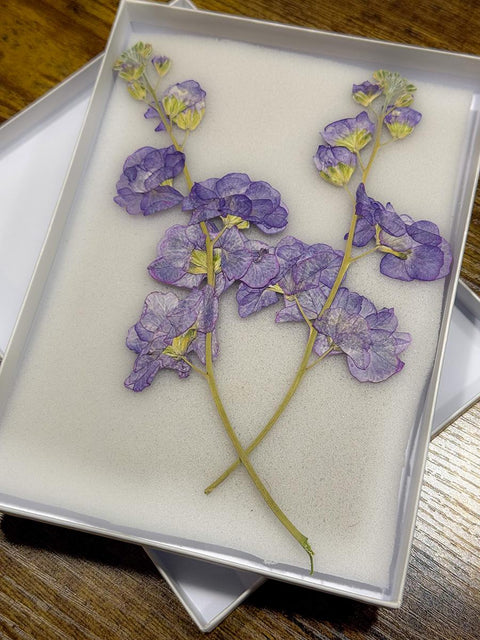 Pressed Purple Stock Flowers: Dried Botanicals for Resin Art, Scrapbooking