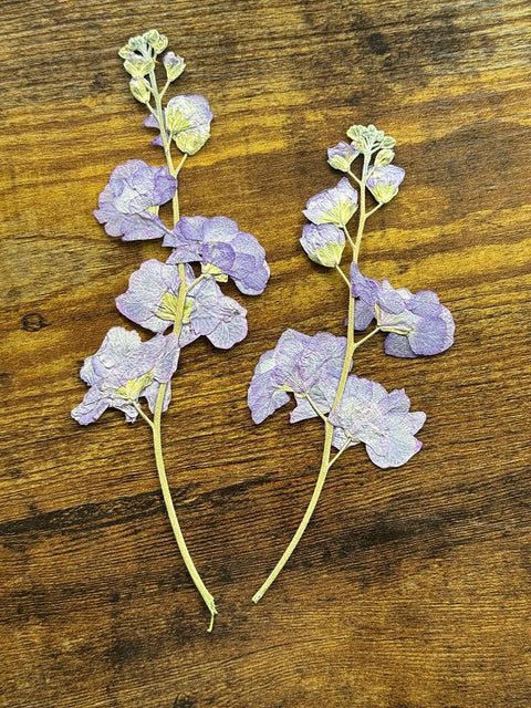 Pressed Purple Stock Flowers: Dried Botanicals for Resin Art, Scrapbooking