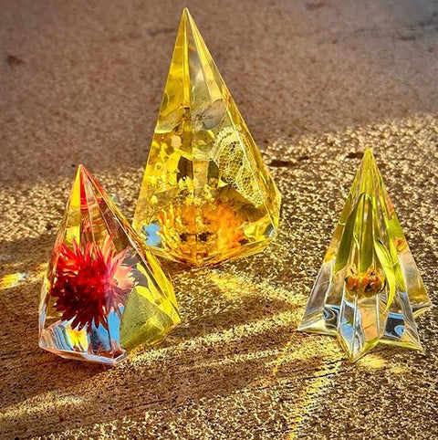 Dried Spiral Eucalyptus Bunch: Natural Home Decor & Crafts