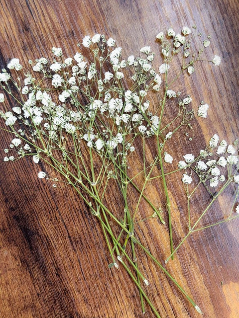 Pressed Dried Baby's Breath Sprigs: Natural Gypsophila for Crafts & Decor