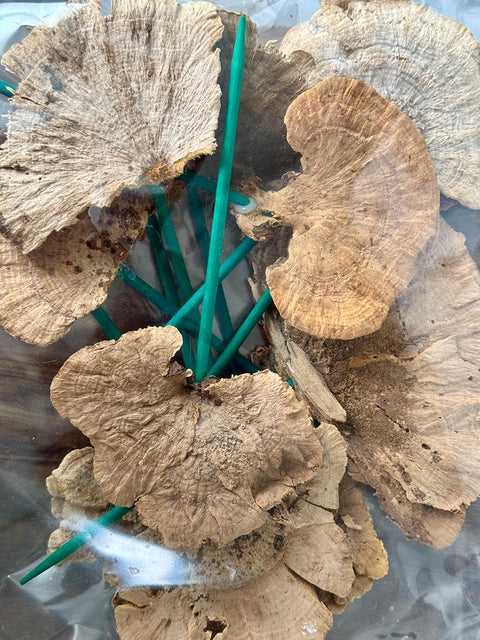 Dried Mushrooms: Natural Woodland Decor, Crafts & Resin Art