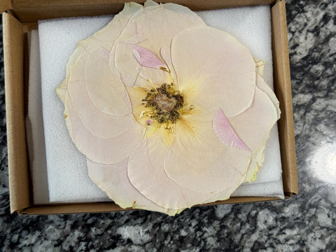 1 Real Pressed Rose: Natural Dried Botanicals for Resin Art, Crafts