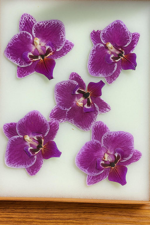 Real Pressed Orchid Resin Jewelry: Botanical Floral Art - 5 Mini Blooms