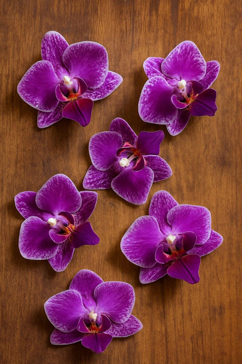 Real Pressed Orchid Resin Jewelry: Botanical Floral Art - 5 Mini Blooms