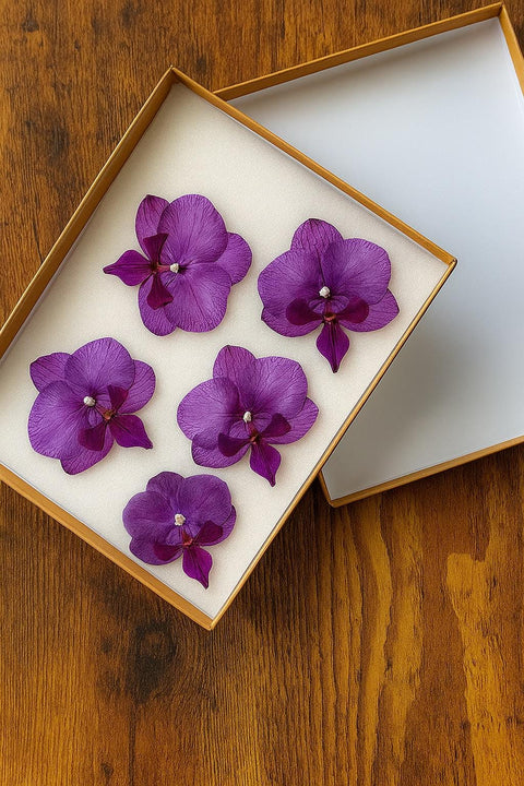 Real Pressed Orchid Resin Jewelry: Botanical Floral Art - 5 Mini Blooms