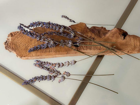 Pressed Dried Lavender 10 Stems: Natural Purple Flowers, Resin Art Supply