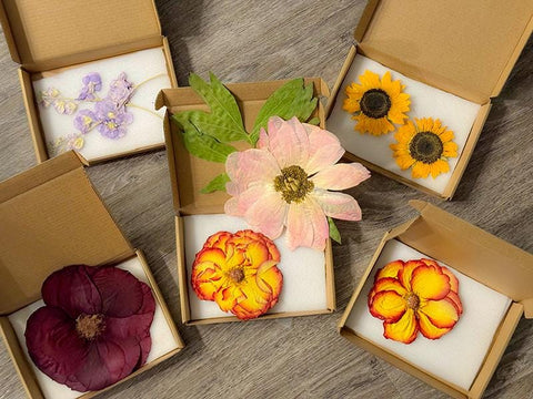 Pressed Pink Cosmos – Dried Real Flowers for Resin Art, Scrapbooking & DIY Crafts