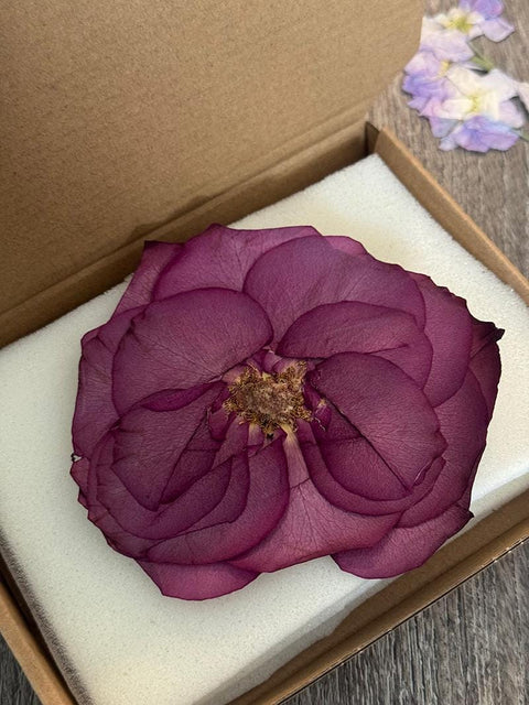 1 Real Pressed Rose: Natural Dried Botanicals for Resin Art, Crafts