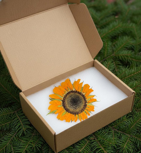 Pressed Sunflower: Real Dried Flower Botanical Art - Handmade Decor Preserved
