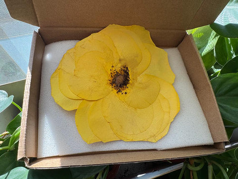 1 Real Pressed Rose: Natural Dried Botanicals for Resin Art, Crafts