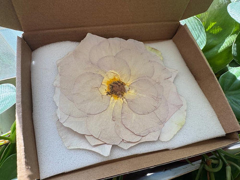1 Real Pressed Rose: Natural Dried Botanicals for Resin Art, Crafts