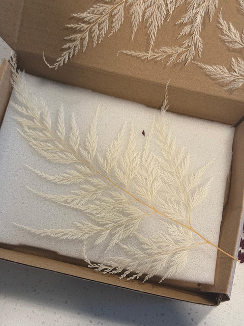 3 Red Pressed Fern Leaves | Resin Art, Jewelry Crafts